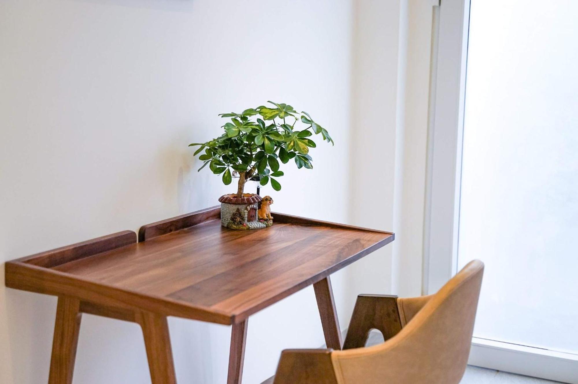 Local White House - Ecofriendly Homestay Đà Nẵng Kültér fotó