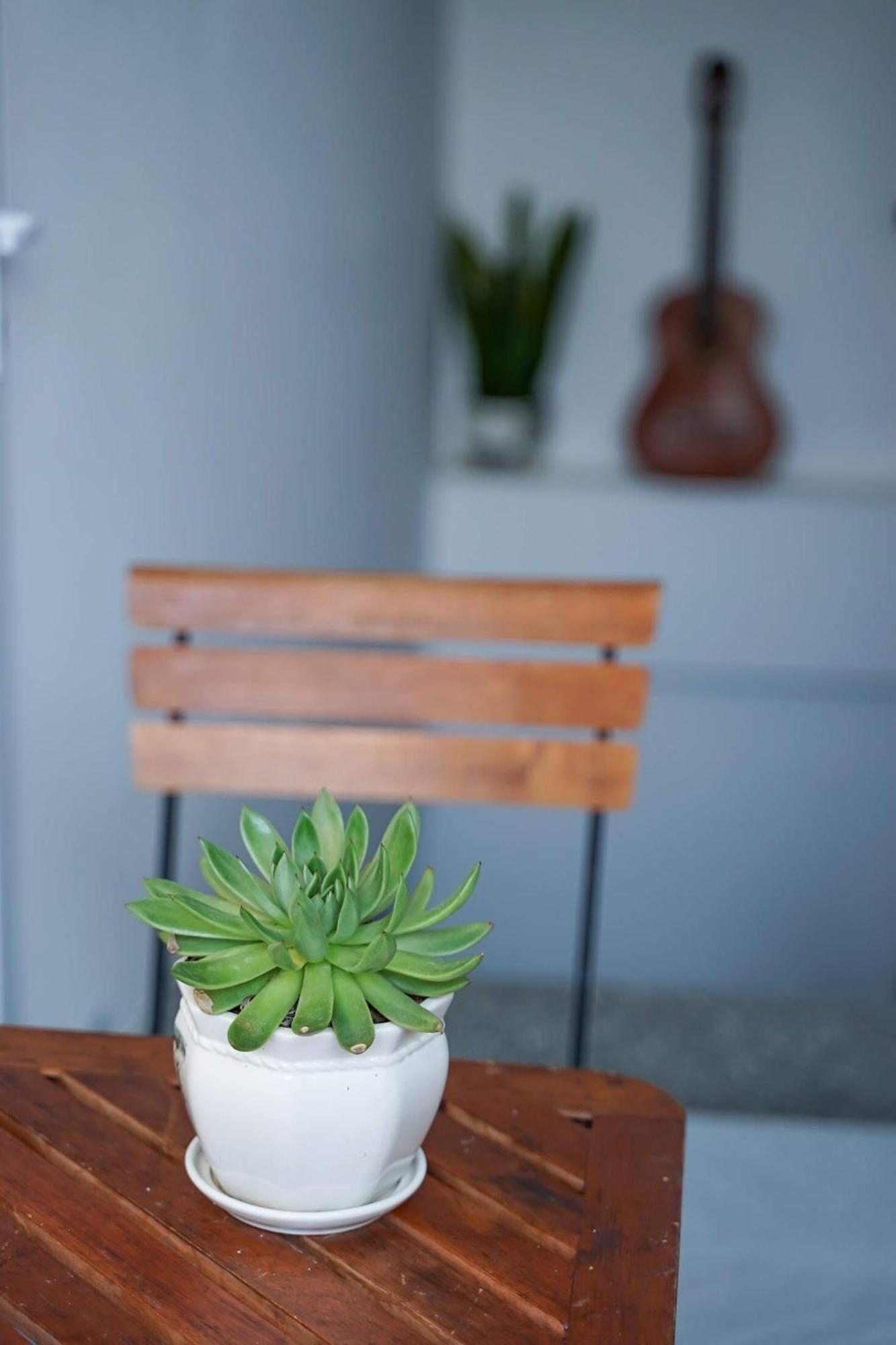 Local White House - Ecofriendly Homestay Đà Nẵng Kültér fotó