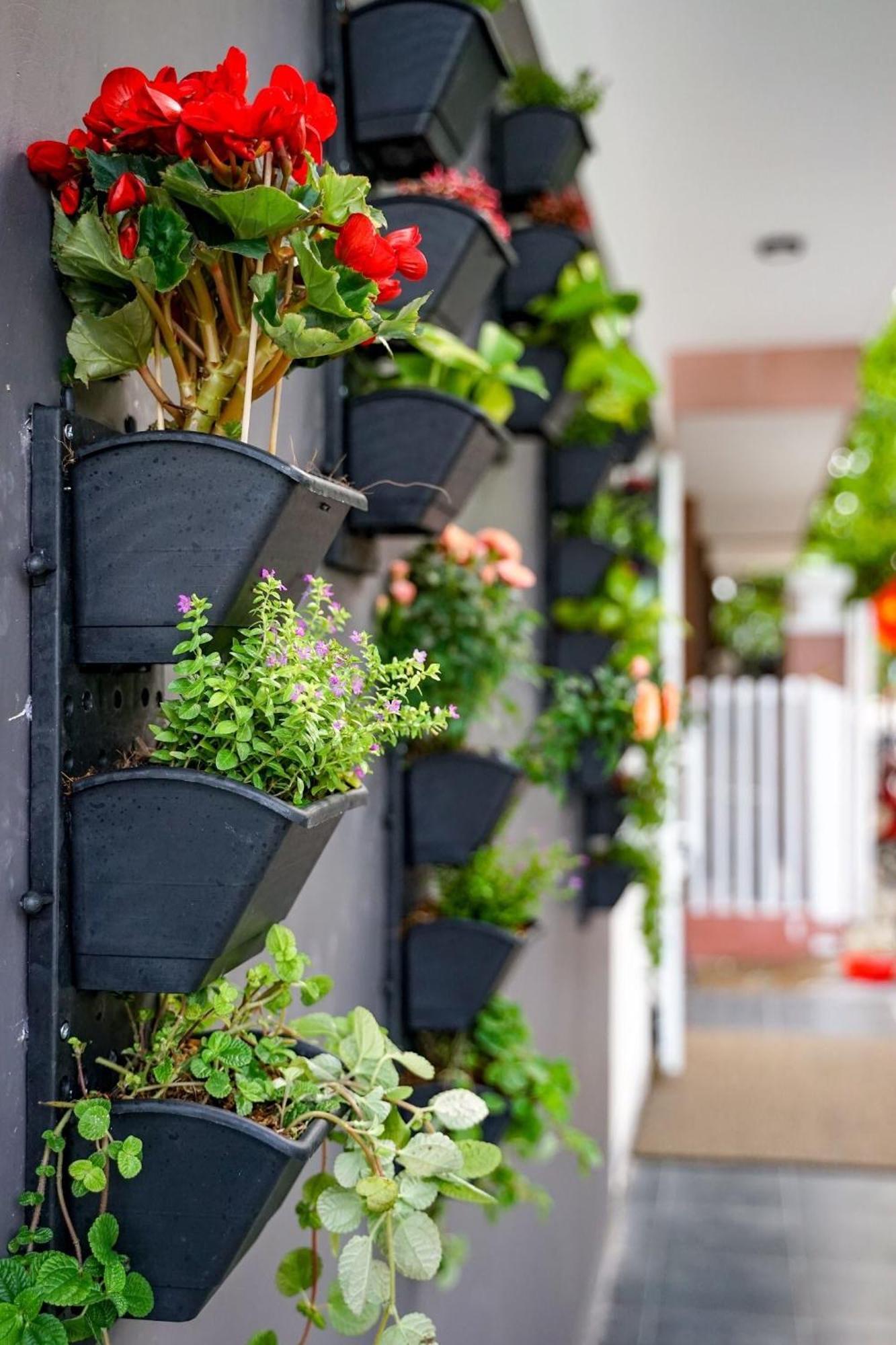Local White House - Ecofriendly Homestay Đà Nẵng Kültér fotó